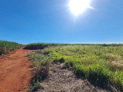 Terreno em Rural, Artur Nogueira