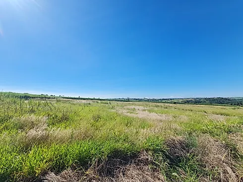 Terreno em Rural, Artur Nogueira