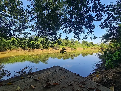 Chácara em Santo Antônio, Holambra