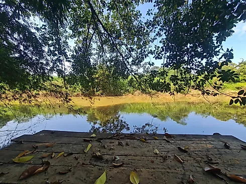 Chácara em Santo Antônio, Holambra