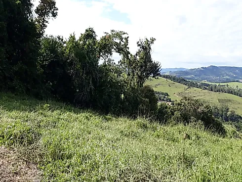 📍✨ Oportunidade Exclusiva em Lindóia/SP ✨📍 - Foto 11