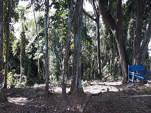 📍✨ Oportunidade Exclusiva em Lindóia/SP ✨📍 - Foto 15