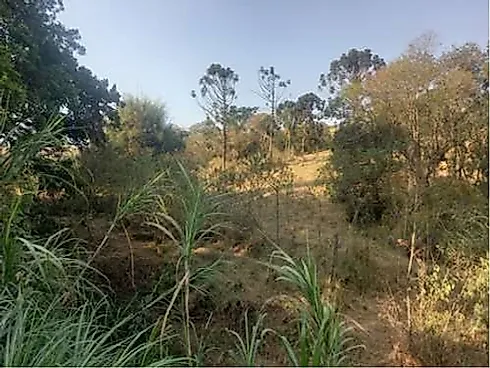 Apartamento em Centro, Monte Sião