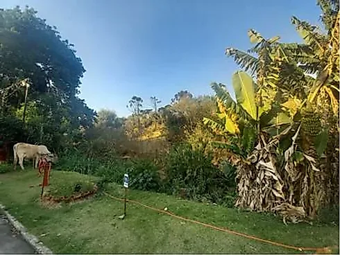 Apartamento em Centro, Monte Sião