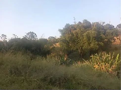 🚨 Área Estratégica e Rara no Centro de Monte Sião/MG 🚨 - Foto 9