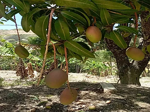 Apartamento em Três Barras, Serra Negra