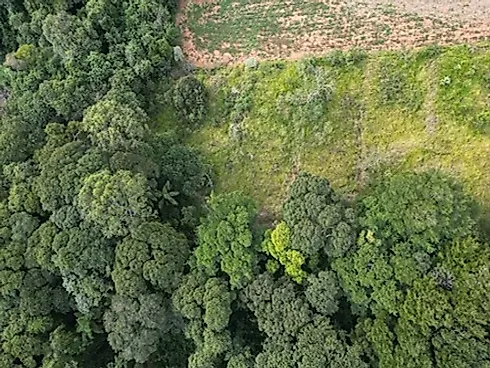 Terreno em Socorro com 11.200 m² — Ideal para Compensação Ambiental. - Foto 8