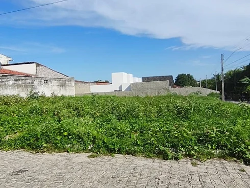 Terreno 517m² - Cruz das Armas - Foto 6