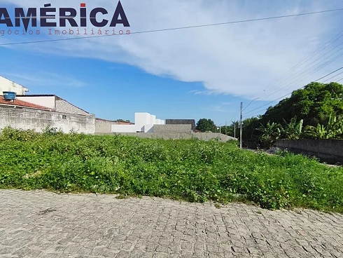 Terreno 517m² - Cruz das Armas - Foto 7
