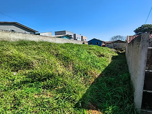 Terreno Butiatuva 465 Mts2 - Terreno em Jardim das Palmeiras, Campo Largo - Foto 4