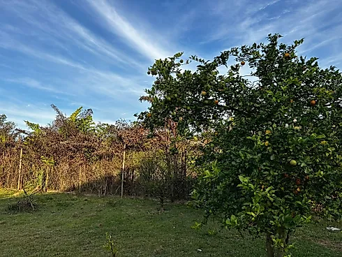 Sítio em Colônia Santa Isabel, Betim