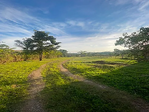 Oportunidade Sitio em Betim com Piscina 2500 m² - Foto 12