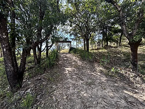Oportunidade Sítio à Venda em Vianópolis – Betim/MG - Foto 20