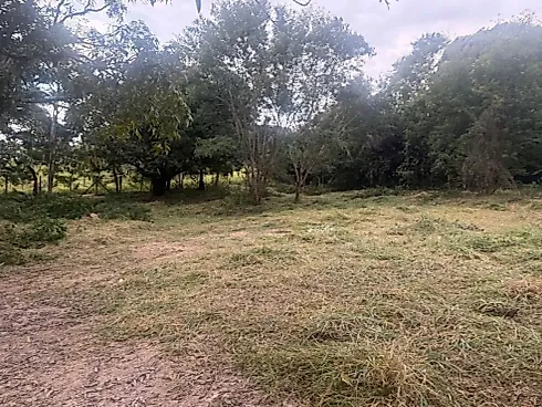 Terreno em Flores e Florestas, Betim