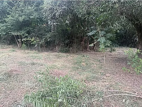 Terreno em Flores e Florestas, Betim