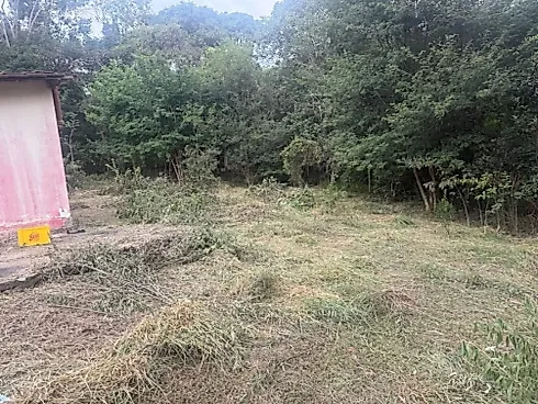 Terreno em Flores e Florestas, Betim