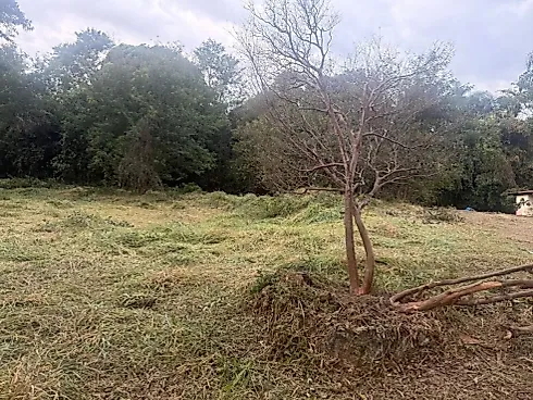 Terreno em Flores e Florestas, Betim