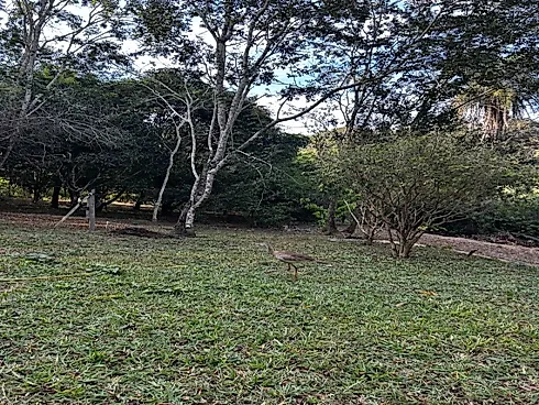 Casa de Alto Padrão em Condomínio Fechado 2500 m² - Foto 7