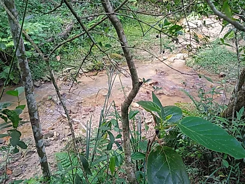 Excelente Terreno Rural de 5 Hectares em Piedade dos Gerais - Foto 10