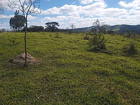 Excelente Terreno Rural de 5 Hectares em Piedade dos Gerais - Foto 11