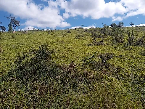 Excelente Terreno Rural de 5 Hectares em Piedade dos Gerais - Terreno, Piedade dos Gerais - Foto 3