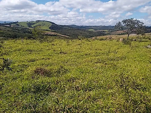 Excelente Terreno Rural de 5 Hectares em Piedade dos Gerais - Terreno, Piedade dos Gerais - Foto 4