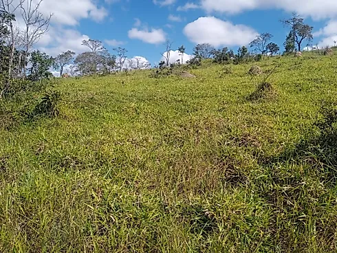Excelente Terreno Rural de 5 Hectares em Piedade dos Gerais - Foto 7