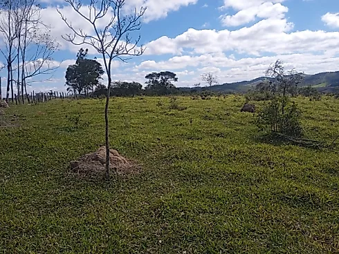 Excelente Terreno Rural de 5 Hectares em Piedade dos Gerais - Foto 9