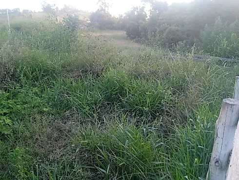 Sítio à Venda em Piedade dos Gerais com Casa Excelente - Foto 11