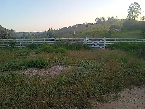 Sítio à Venda em Piedade dos Gerais com Casa Excelente - Sítio, Piedade dos Gerais - Foto 5