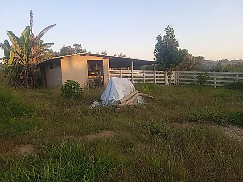 Sítio à Venda em Piedade dos Gerais com Casa Excelente - Foto 7