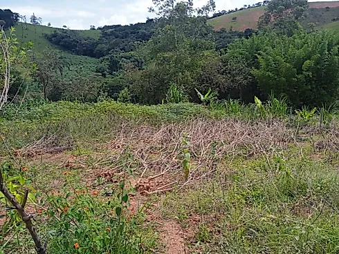 Linda Chácara de 2.000 m² em Piedade dos Gerais com Casa - Chácara, Piedade dos Gerais - Foto 3