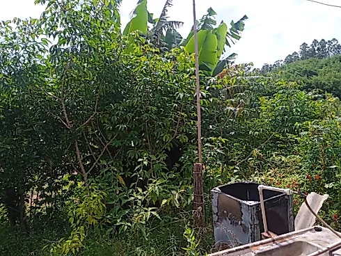 Linda Chácara de 2.000 m² em Piedade dos Gerais com Casa - Foto 8