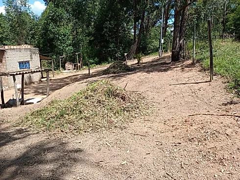 Chácara à Venda em Bonfim – 1.000 M², Energia Elétrica - Foto 10