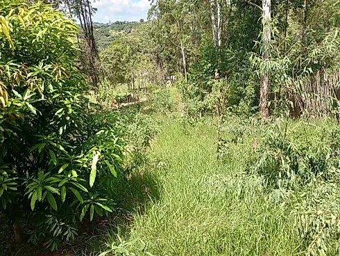 Chácara à Venda em Bonfim – 1.000 M², Energia Elétrica - Apartamento, Bonfim - Foto 5