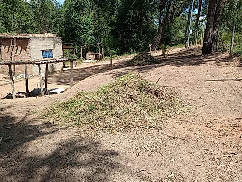 Chácara à Venda em Bonfim – 1.000 M², Energia Elétrica - Foto 8