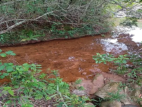 Oportunidade Única! Fazendinha em Piedade dos Gerais - Fazenda, Piedade dos Gerais - Foto 2