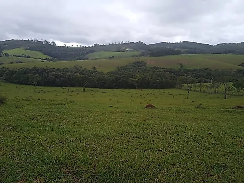 Oportunidade Única! Fazendinha em Piedade dos Gerais - Fazenda, Piedade dos Gerais - Foto 3