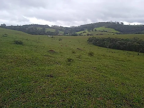 Oportunidade Única! Fazendinha em Piedade dos Gerais - Fazenda, Piedade dos Gerais - Foto 4