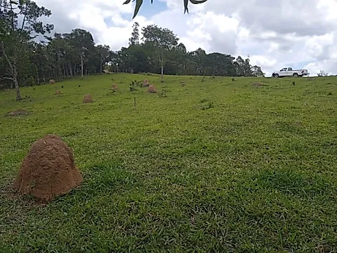 Oportunidade Única! Fazendinha em Piedade dos Gerais - Fazenda, Piedade dos Gerais - Foto 5