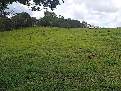 Oportunidade Única! Fazendinha em Piedade dos Gerais - Foto 6