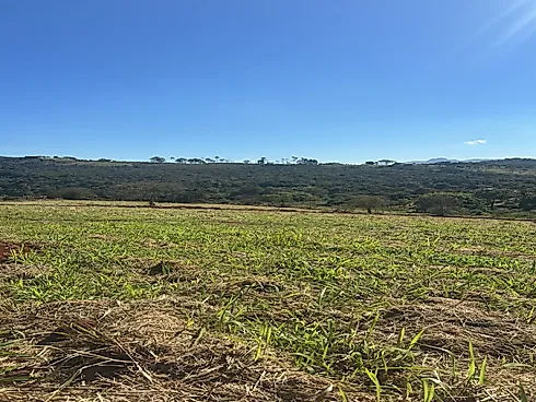 Chácaras em Rio Manso  1.000M² com Financiamento Próprio - Chácara em Amaral, Nova Serrana - Foto 2