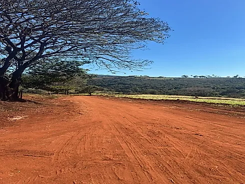 Chácaras em Rio Manso  1.000M² com Financiamento Próprio - Chácara em Amaral, Nova Serrana - Foto 3