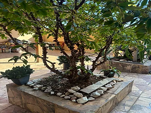 Excelente Casa em Contagem  de Dois Pavimentos 360 m² - Foto 7