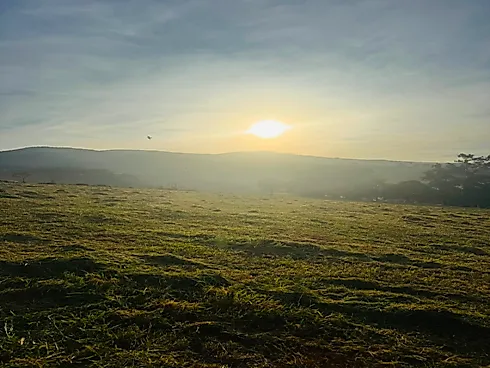 Fazendinhas à Venda em Três Barras/MG - Fazenda, Serro - Foto 3