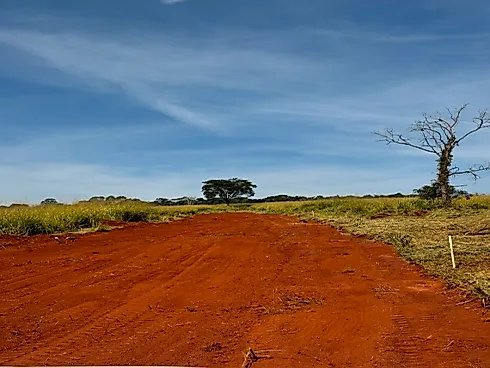Fazendinhas à Venda em Três Barras/MG - Fazenda, Serro - Foto 2