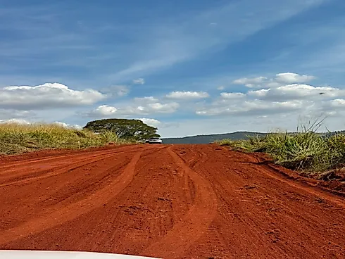 Fazendinhas à Venda em Três Barras/MG - Fazenda, Serro - Foto 4