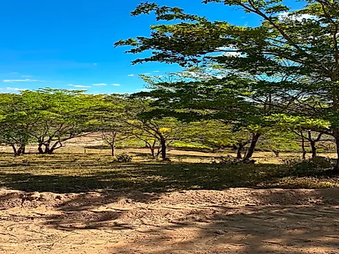Chácaras de 1.000M² em Esmeraldas-MG (Apenas 15 Min) - Foto 2