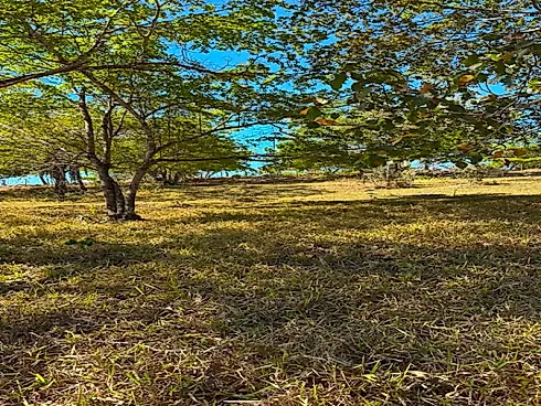Chácaras de 1.000M² em Esmeraldas-MG (Apenas 15 Min) - Foto 4