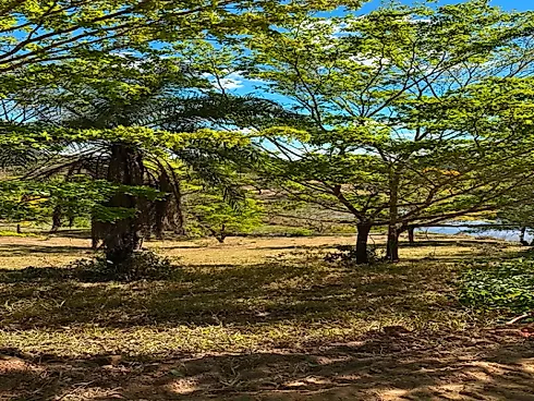Chácaras de 1.000M² em Esmeraldas-MG (Apenas 15 Min) - Foto 6